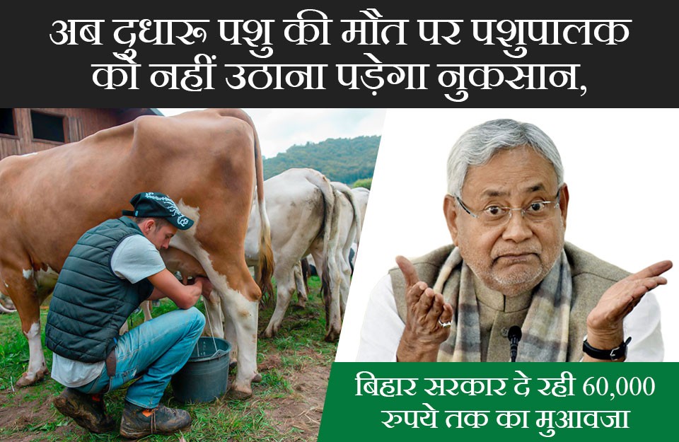 अब दुधारू पशु की मौत पर पशुपालक को नहीं उठाना पड़ेगा नुकसान